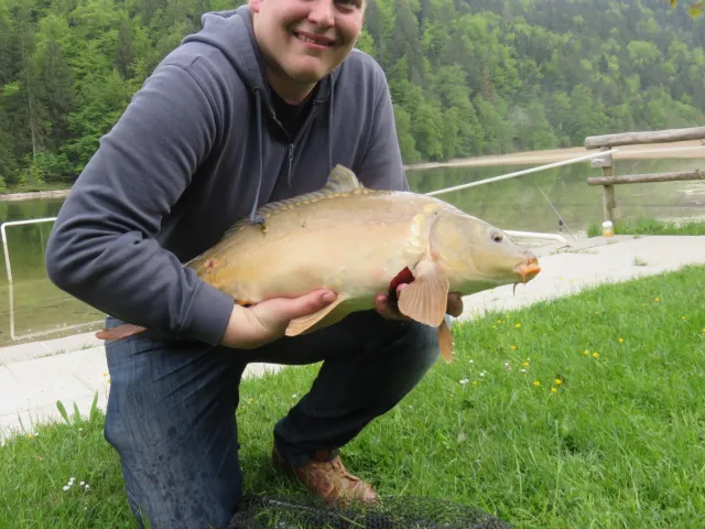Karpfen