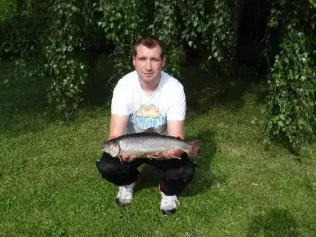 Bachsaibling