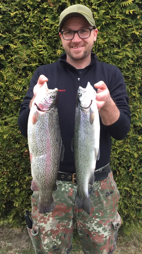 Regenbogenforelle