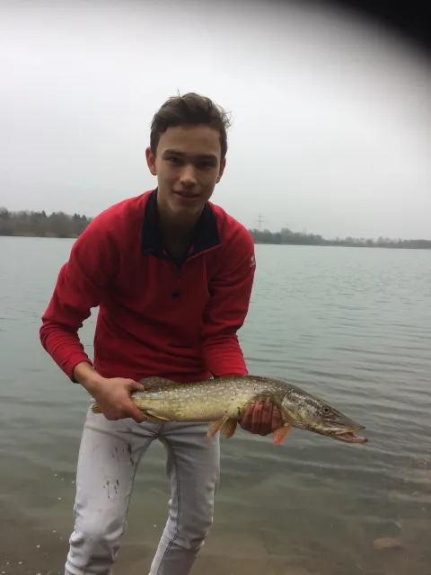 Hecht