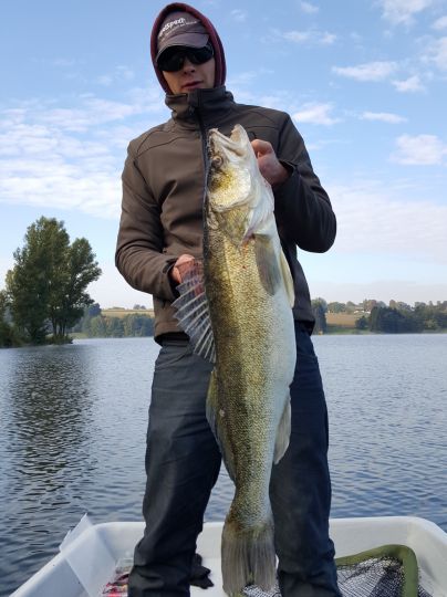 Zander