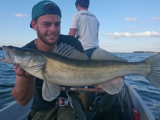Zander