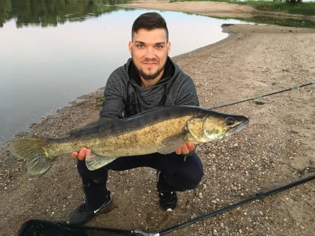 Zander