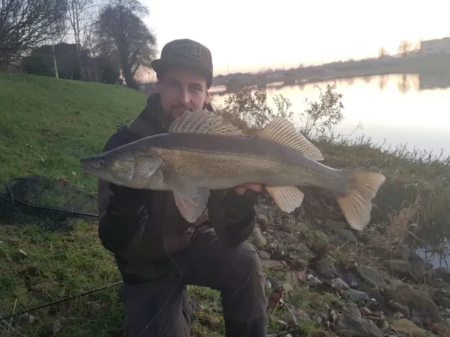 Zander