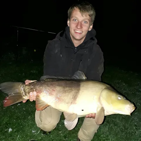 Karpfen