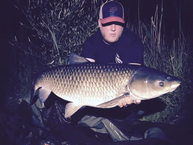 Graskarpfen