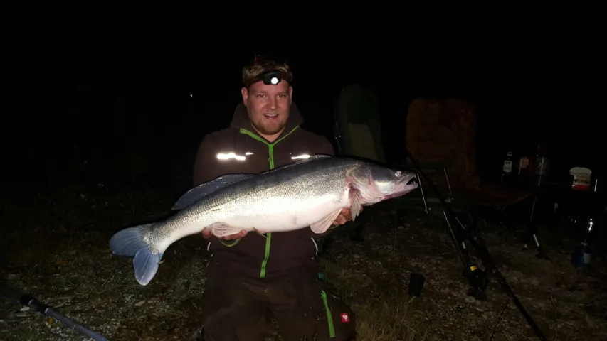 Zander