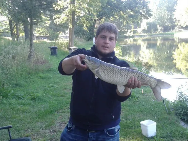 Graskarpfen