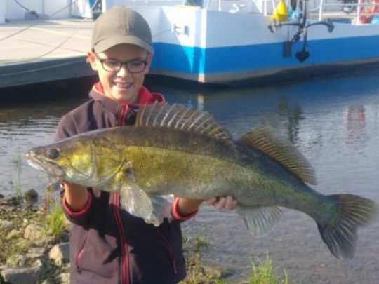 Zander