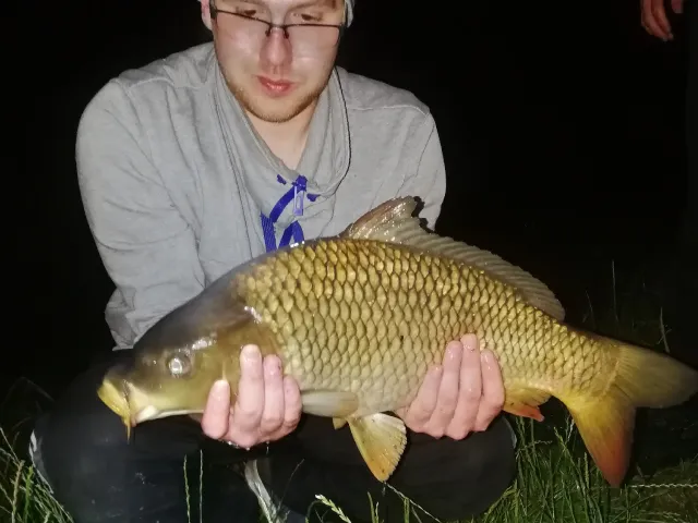 Karpfen