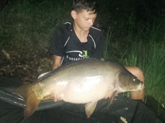 Karpfen