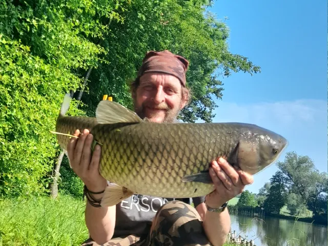 Graskarpfen