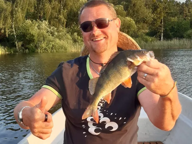 Flussbarsch