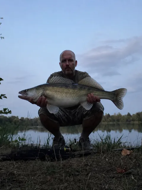 Zander