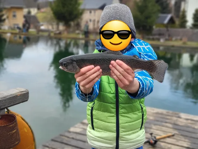 Regenbogenforelle