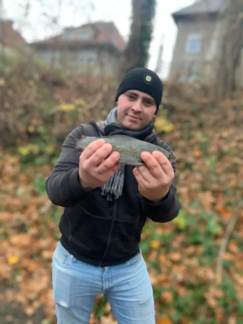 Äsche