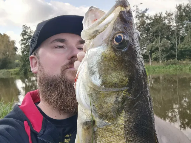 Zander