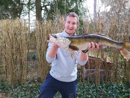 Zander
