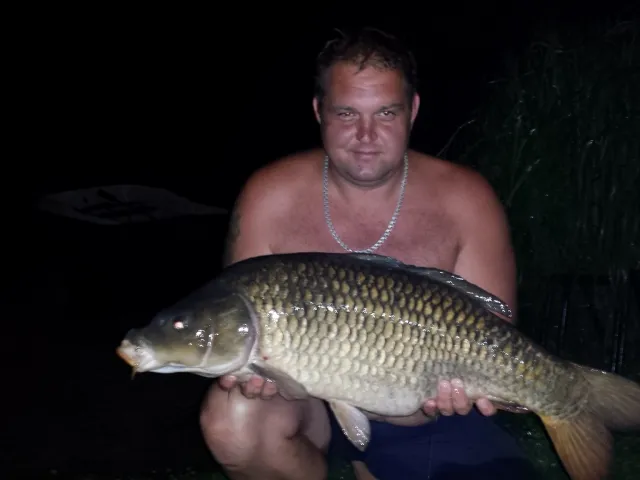 Karpfen