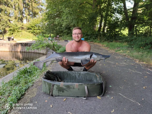 Stör