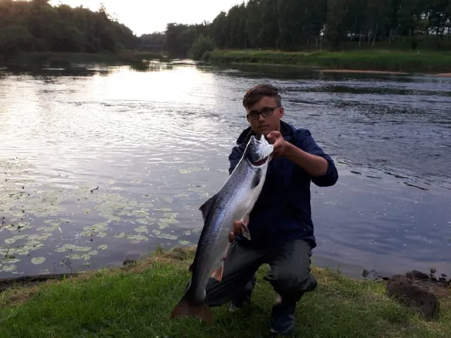 Lachs