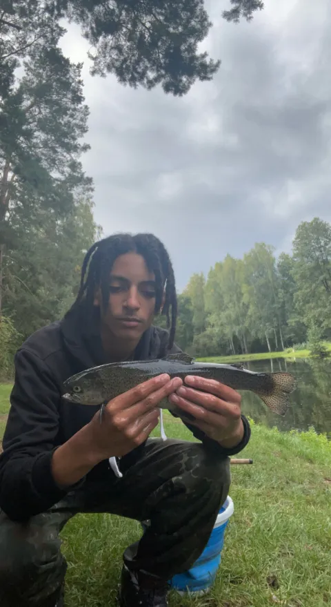 Regenbogenforelle