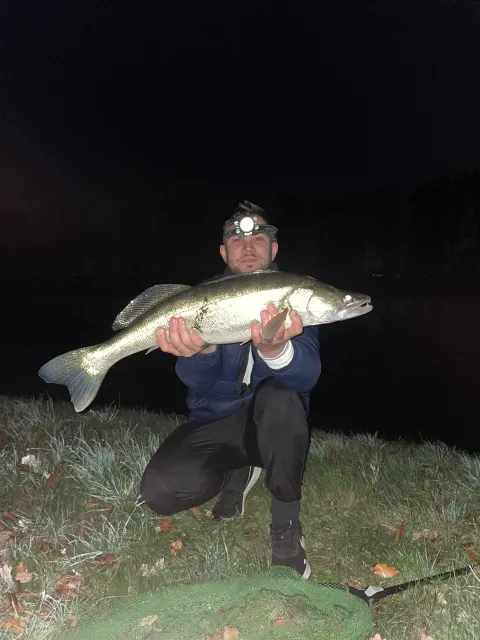 Zander