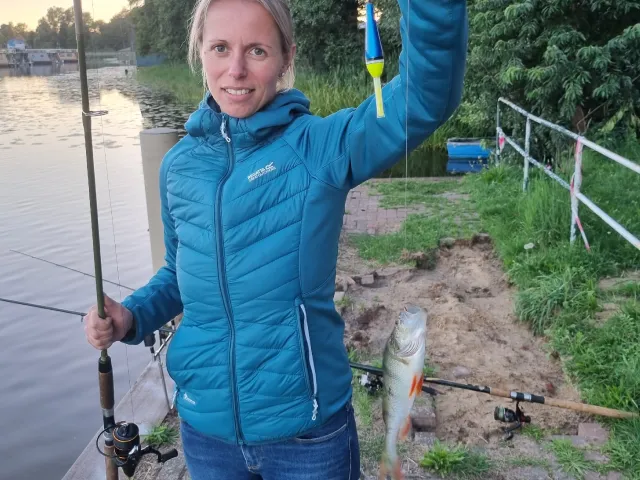 Flussbarsch