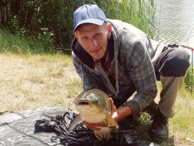 Graskarpfen