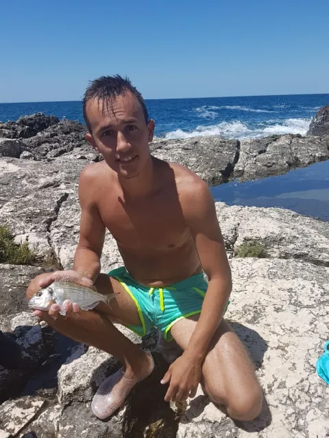 Dorade