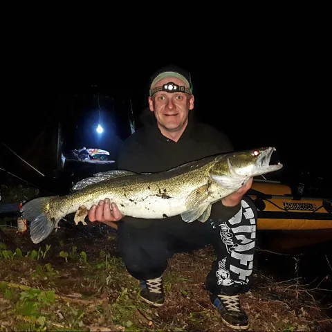Zander