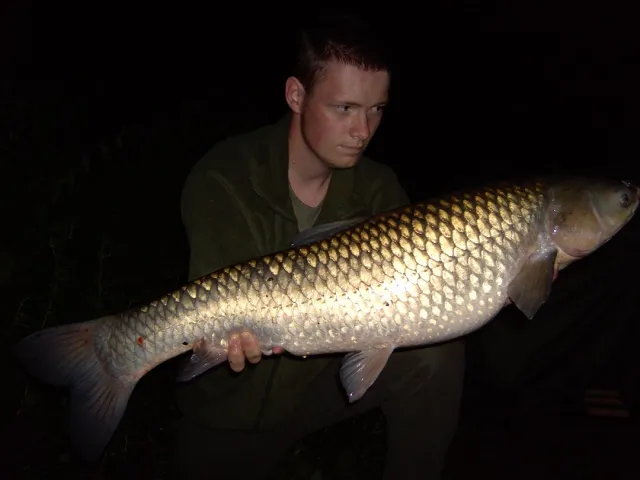 Graskarpfen