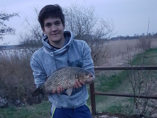 Giebel