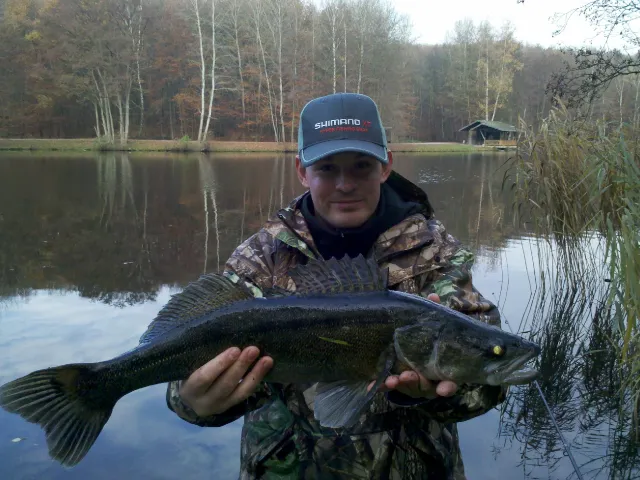 Zander