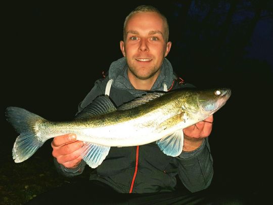 Zander