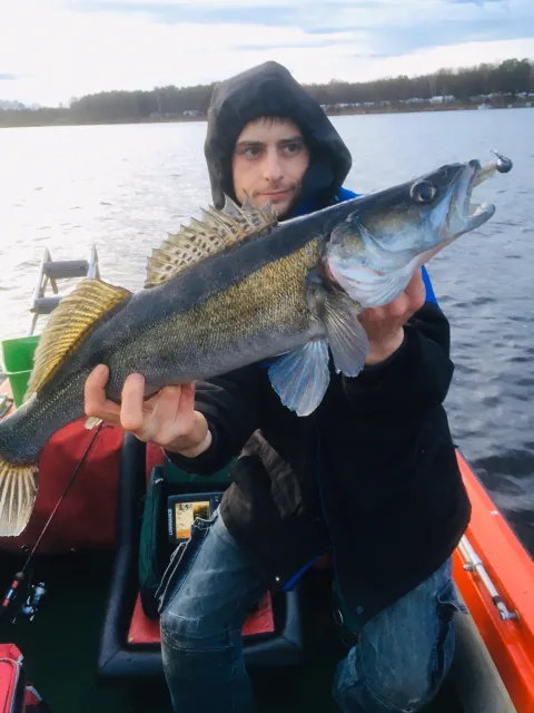 Zander