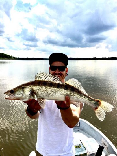 Zander