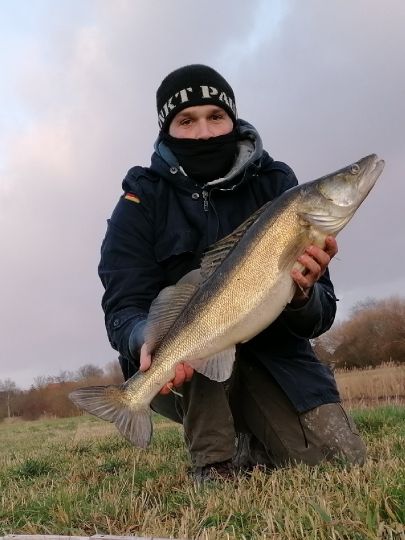 Zander