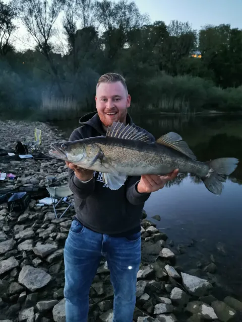 Zander