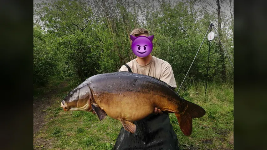 Karpfen