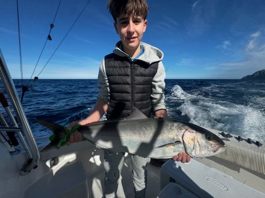 Amberjack