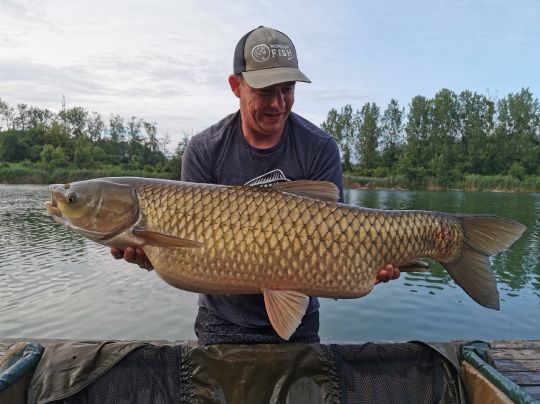 Graskarpfen