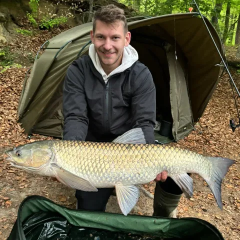 Graskarpfen
