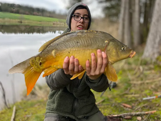 Karpfen
