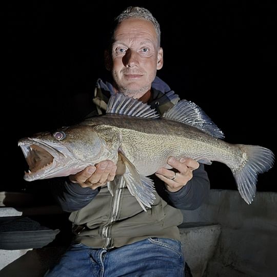 Zander