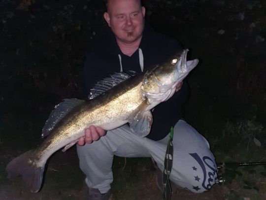 Zander