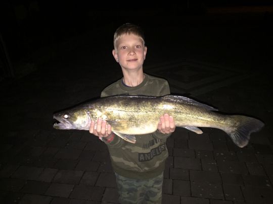 Zander