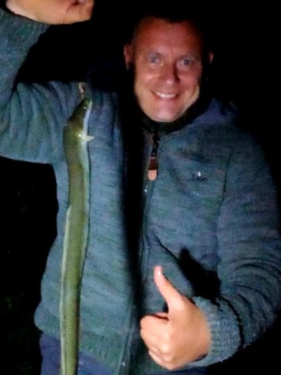 Aal