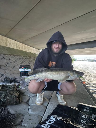 Zander