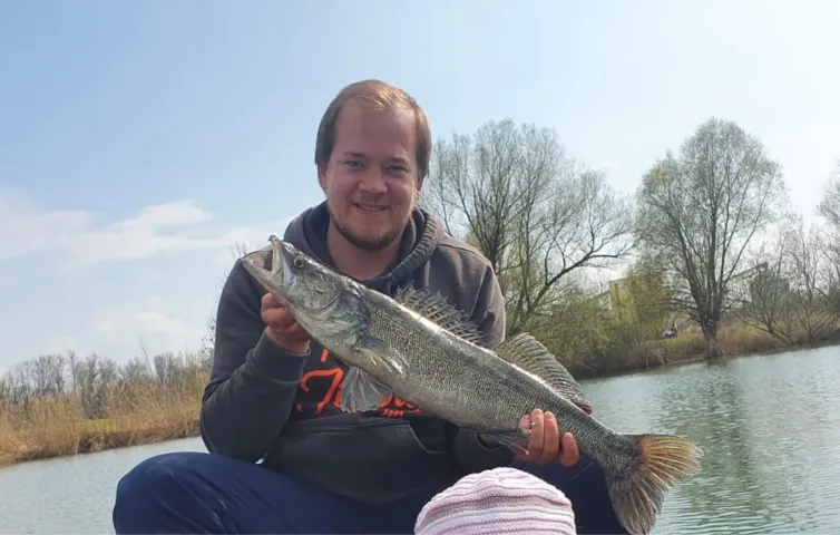 Zander